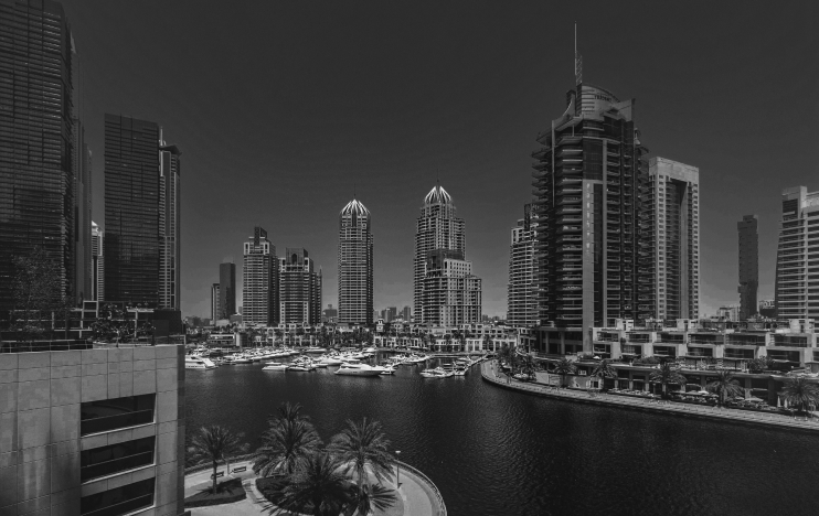 Real Estate Leads - Mint&Co.
